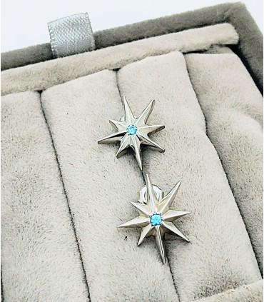 Taşlı Asteria küpe