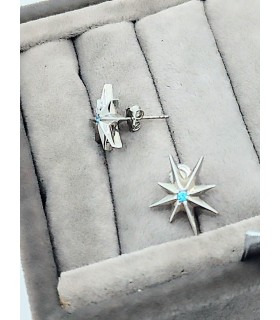 Taşlı Asteria küpe