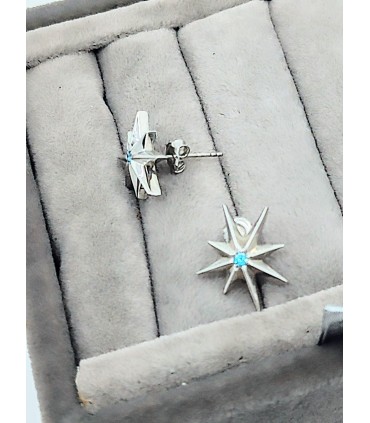 Taşlı Asteria küpe